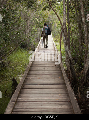 Indonesian guide walking on boardwalk through tropical peat swamp forest from the dock to Camp Leakey in Tanjung Puting National Park, Kalimantan Stock Photo