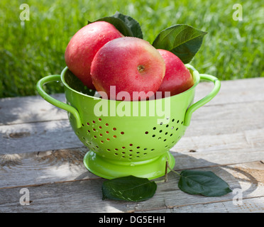 Fresh ripe red apples in colander Stock Photo