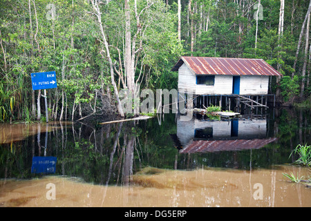 Natural clean black water of Sekonyer Kanan tributary flowing into muddy water of the main Sekonyer River polluted by illegal gold mining in Borneo Stock Photo