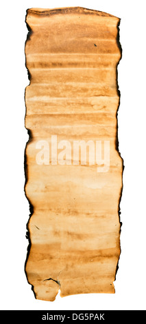 Vintage roll of parchment background Stock Photo