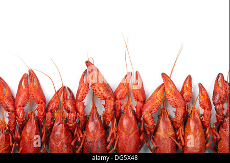 Prepared many red crayfish on white background Stock Photo