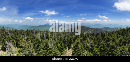 panorama looking north from the summit of Clingmans Dome the highest point in Tennessee Stock Photo