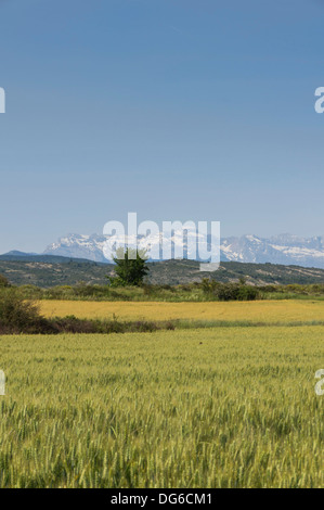 North-West Spain - landscape looking to the Pyrenees in the north, from near Bailo. On the A132 road, wheat field and June snow Stock Photo