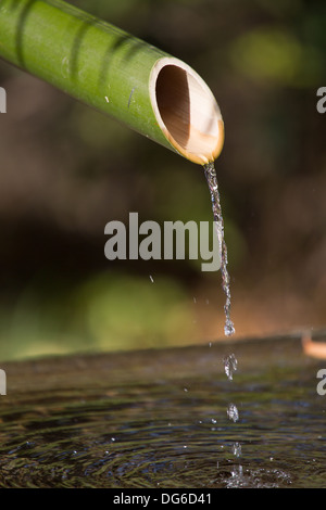 Bamboo fountain in japanese temple, Tokyo, Japan. Stock Photo