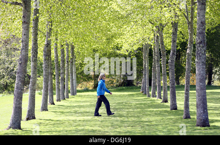 Woman walking in the gardens at Crathes Castle in Royal Deeside near Banchory, Aberdeenshire, Scotland, UK, during autumn Stock Photo
