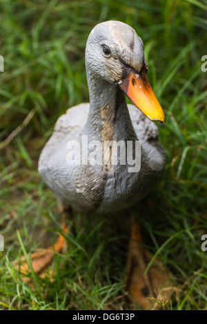 duck statues in Lawn Stock Photo