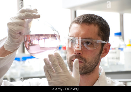 laboratory technician working in lab Stock Photo