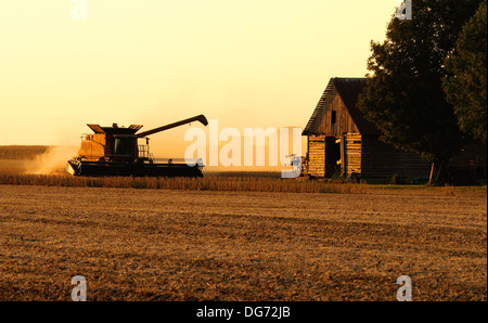 A Case IH combine harvests soybeans Stock Photo