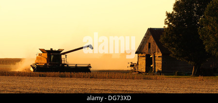 A Case IH combine harvests soybeans Stock Photo