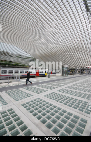 Liege-Guillemins railway station designed by architect Santiago Calatrava in Liege Belgium Stock Photo