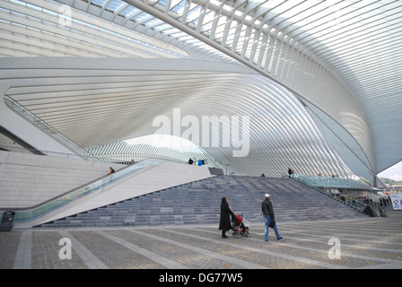 Liege-Guillemins railway station designed by architect Santiago Calatrava in Liege Belgium Stock Photo