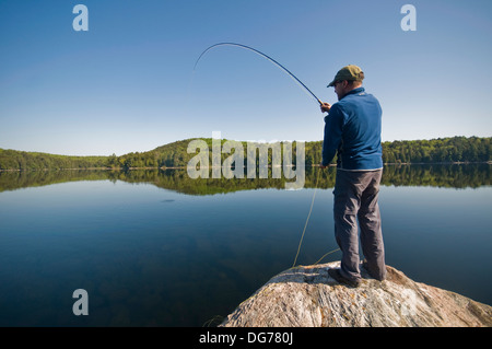 A man plays a fish from a rock point in Algonquin Park, Canada Stock Photo