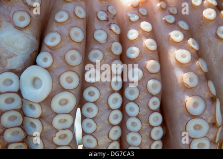 Oregano-rubbed octopus tentacles drying in the sun outside of seaside pub in Greece Stock Photo