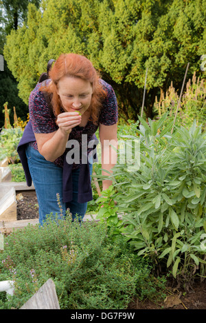 Woman smelling herbs in garden Stock Photo