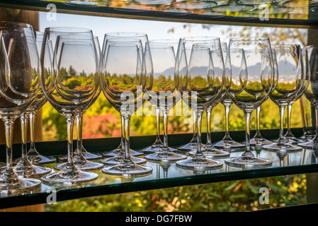 rows of wine glasses in restaurant bar Stock Photo