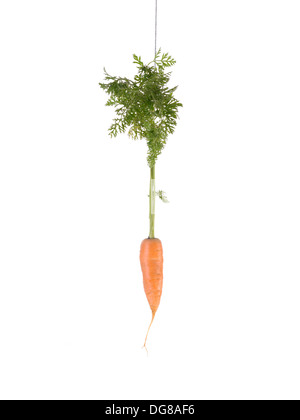 Carrot hanging on a string as Carrot and stick approach metaphor Stock Photo