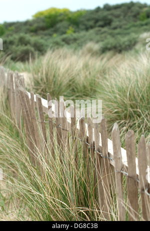 Landscape image of the sand dunes and grasses close to Mablethorpe Beach Stock Photo