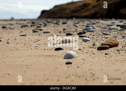 Low angled shot of Easington Beach, Holderness Coastline, East Yorkshire Stock Photo
