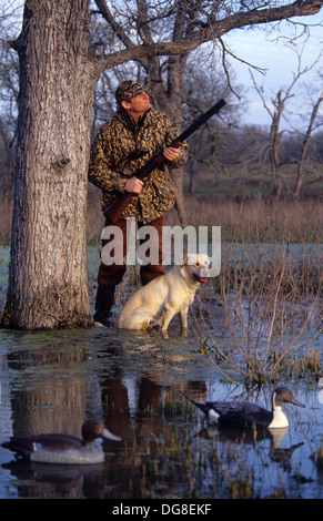 A duck hunter calling ducks with his yellow Labrador retriever hunting dog in a marsh lake near Austin Texas Stock Photo