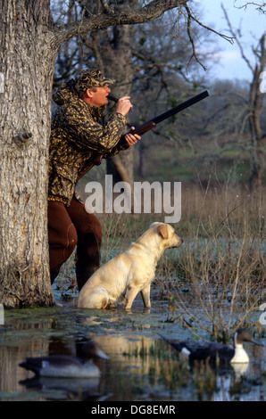 A duck hunter calling ducks with his yellow Labrador retriever hunting dog in a marsh lake near Austin Texas Stock Photo