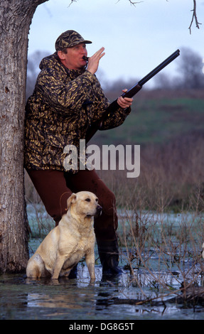 A duck hunter calling ducks with his yellow Labrador retriever hunting dog in a marsh lake near Austin Texas Stock Photo