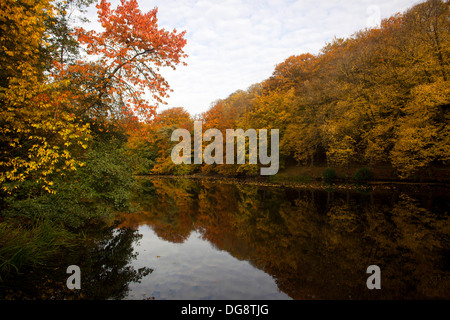Forest lake in autumn colors. Skjoldenaesholm, Central Zealand. Denmark. Stock Photo