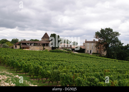 Vineyards at Sainte-Croix-du-Mont in the Bordeaux wine region of France Stock Photo
