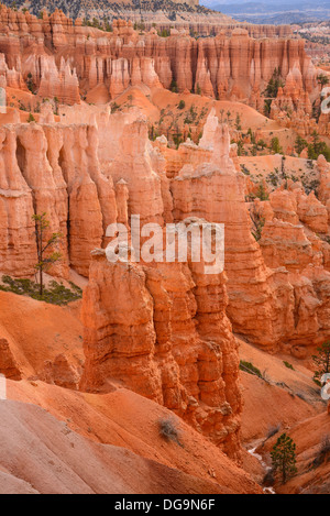 Bryce Canyon, Navajo Loop Trail, Bryce Canyon National Park, Utah, USA Stock Photo