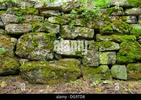 Mossy wall Stock Photo