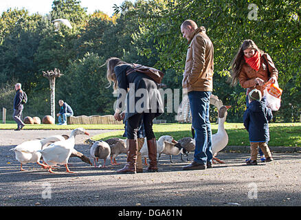 Peterborough, Cambridgeshire, UK. 17th October 2013. A family walking through Ferry Meadows, Peterborough, in the Autumn sunshine.  They stop to feed the geese. Credit:  Lovelylight/Alamy Live News Stock Photo