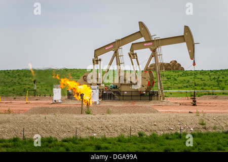 Oil pumpers and flaring natural wells in the Bakken play oil fields near Williston, North Dakota, USA. Stock Photo