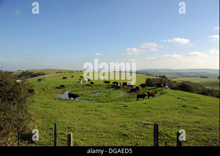 Views along the South Downs Way at Ditchling beacon near Brighton Sussex UK Stock Photo