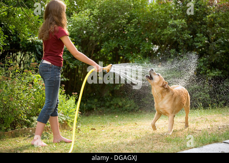 Teen girl showering her labrador retriever in the garden Stock Photo