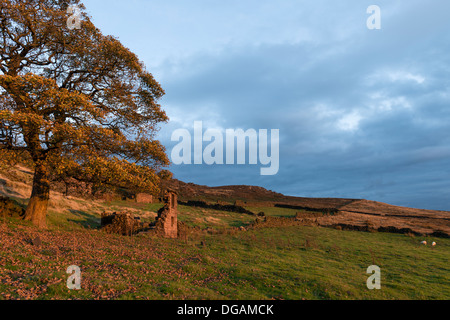 Barn ruin at Roach End on the edge of The Roaches, Staffordshire Moorlands. Taken in October at sundown Stock Photo