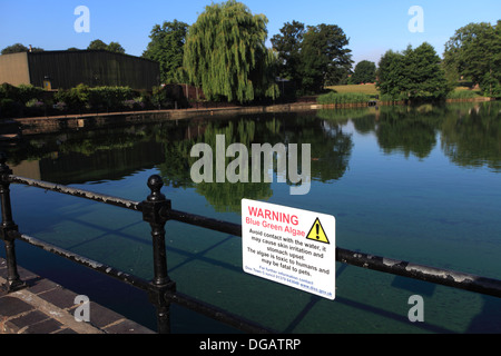 Blue Green Algae in the Mere, market town of Diss, Norfolk County, England, Britain, UK Stock Photo