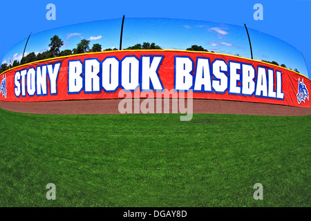 Bethpage Ballpark, home of the Long Island Ducks minor league baseball team,  Long Island, NY Stock Photo - Alamy