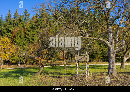 Hunting Seat Under Apple Trees Stock Photo