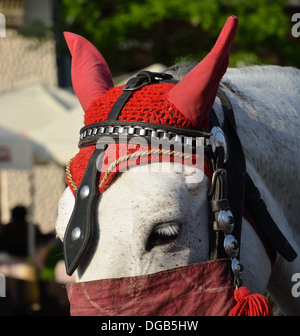 white horse in devils hat Stock Photo