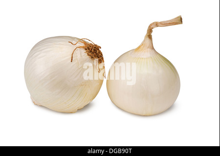 white garlic isolated on white background Stock Photo