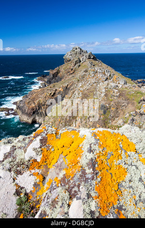 Lichen covered rocks on Gurnards Head near Zennor, Cornwall, UK. Stock Photo