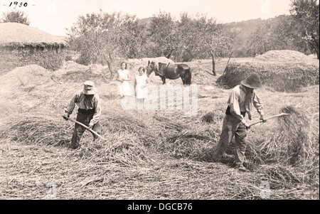 Farmers threshing wheat animals. Vintage 1930. Country house. Two girls looking at the work of farmers. Stock Photo