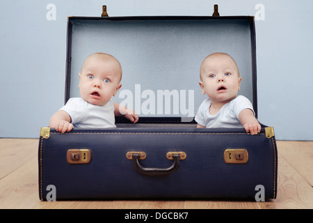 Two baby boys sitting in suitcase, portrait Stock Photo