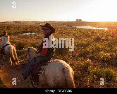 Senior man riding a Criollo horse, Uruguay Stock Photo