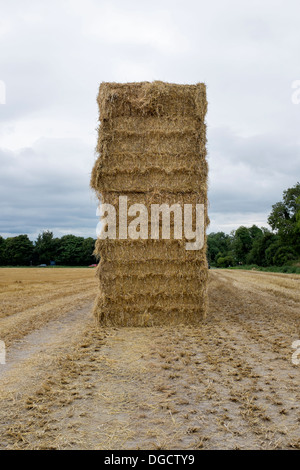 Stack of Hay Bales in Field in Wiltshire England Stock Photo