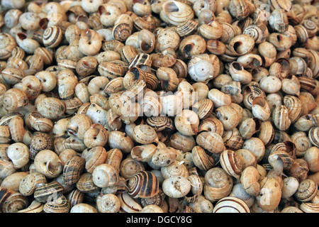 Whelks and snails for sale on a market stall. Stock Photo