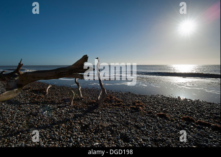 Tidal erosion along Suffolk coastline Stock Photo