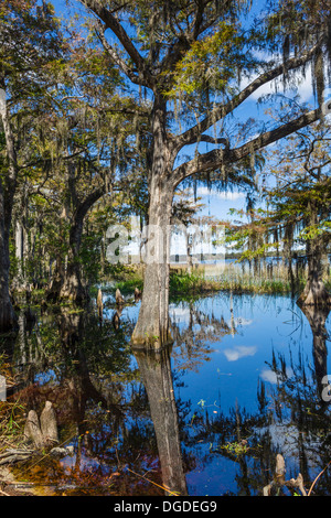 Lake Russell at the Nature Conservancy Disney Wilderness Preserve