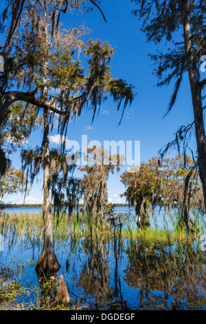 Lake Russell at the Nature Conservancy Disney Wilderness Preserve