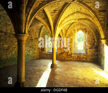 A small room in the undercroft of Battle Abbey adjacent to the novices common room, Battle, East Sussex, UK Stock Photo