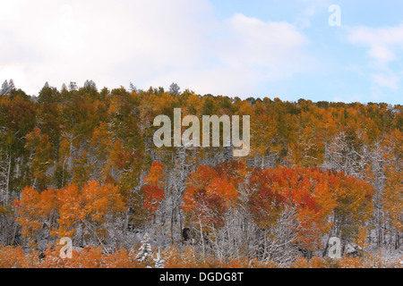 Autumn in the Rocky Mountains Stock Photo